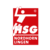 Logo der HSG Nordhorn-Lingen